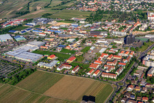 Vue aérienne de Rue Mennonite et GLOBUS Neustadt an der Weinstraße à Neustadt an der Weinstraße dans le département Rhénanie-Palatinat, Allemagne