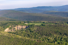 Vue aérienne de Domaine viticole Odinstal à Forst an der Weinstraße dans le département Rhénanie-Palatinat, Allemagne
