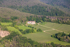 Vue aérienne de Domaine viticole Odinstal à Forst an der Weinstraße dans le département Rhénanie-Palatinat, Allemagne