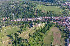 Vue aérienne de Wachtenburg à Wachenheim an der Weinstraße dans le département Rhénanie-Palatinat, Allemagne