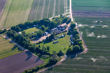 Vue aérienne de SV OG à Mutterstadt dans le département Rhénanie-Palatinat, Allemagne