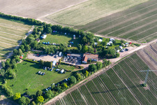 Vue aérienne de SV OG à Mutterstadt dans le département Rhénanie-Palatinat, Allemagne