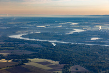 Vue aérienne de Genou du Rhin Alter Kopfgrund à Drusenheim dans le département Bas Rhin, France