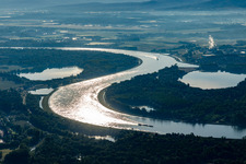 Vue aérienne de Genou du Rhin Alter Kopfgrund à Drusenheim dans le département Bas Rhin, France