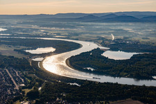 Vue aérienne de Genou du Rhin, vieille tête broyée à Greffern à le quartier Greffern in Rheinmünster dans le département Bade-Wurtemberg, Allemagne