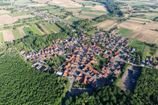 Vue aérienne de Des zones forestières et des bois entourent la zone d'implantation du village de Schaffhouse-près-Seltz à Schaffhouse-près-Seltz dans le département Bas Rhin, France
