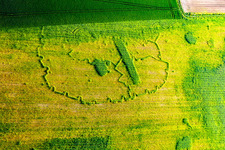 Wintzenbach dans le département Bas Rhin, France vu d'un drone