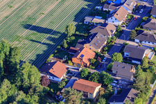 Vue aérienne de Waldstr à Erlenbach bei Kandel dans le département Rhénanie-Palatinat, Allemagne