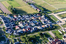 Vue aérienne de Rue Pasteur Anselmann à Hatzenbühl dans le département Rhénanie-Palatinat, Allemagne