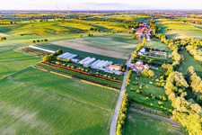 Vue aérienne de Dieter Schmeißer coupe vert à Vollmersweiler dans le département Rhénanie-Palatinat, Allemagne