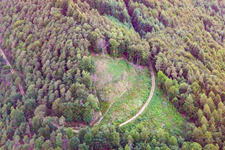 Vue aérienne de Site de décollage des parapentes de Förlenberg à Leinsweiler dans le département Rhénanie-Palatinat, Allemagne
