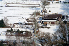 Vue aérienne de Ferme de moutons à Kandel dans le département Rhénanie-Palatinat, Allemagne