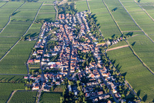 Vue aérienne de Vue du village viticole entre les vignes depuis l'ouest à Roschbach dans le département Rhénanie-Palatinat, Allemagne
