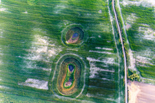 Vue aérienne de Structures des champs de céréales rondes : lac mort dans le champ de l'Uckermark à le quartier Groß Fredenwalde in Gerswalde dans le département Brandebourg, Allemagne