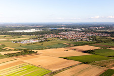 Lingenfeld dans le département Rhénanie-Palatinat, Allemagne vue d'en haut