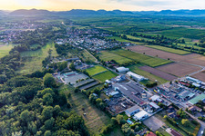Vue aérienne de Club d'équitation et de conduite eV à le quartier Billigheim in Billigheim-Ingenheim dans le département Rhénanie-Palatinat, Allemagne