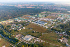 Lingenfeld dans le département Rhénanie-Palatinat, Allemagne vue du ciel