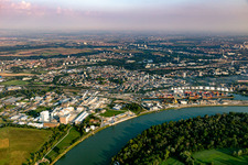 Vue aérienne de Mundenheimer Kaiserwörth et Altrheinhafen à le quartier Mundenheim in Ludwigshafen am Rhein dans le département Rhénanie-Palatinat, Allemagne