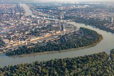 Vue aérienne de Parc urbain de l'île Park sur le Rhin à le quartier Süd in Ludwigshafen am Rhein dans le département Rhénanie-Palatinat, Allemagne
