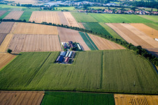 Vue aérienne de Aussiedlerhof sur le Höhenweg à Kandel dans le département Rhénanie-Palatinat, Allemagne