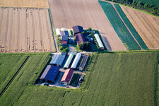 Vue aérienne de Aussiedlerhof sur le Höhenweg à Kandel dans le département Rhénanie-Palatinat, Allemagne