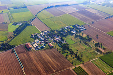 Vue aérienne de District de Neubotzheim à Ladenburg dans le département Bade-Wurtemberg, Allemagne