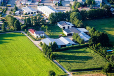 Vue oblique de Dans le Rötzwiesen, famille agricole Kerth à le quartier Minderslachen in Kandel dans le département Rhénanie-Palatinat, Allemagne