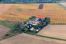 Vue aérienne de Hockenheim dans le département Bade-Wurtemberg, Allemagne