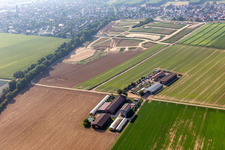 Vue aérienne de Aussiedlerhof à Kandel dans le département Rhénanie-Palatinat, Allemagne