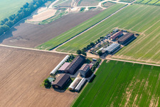 Vue aérienne de Aussiedlerhof à Kandel dans le département Rhénanie-Palatinat, Allemagne