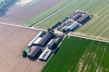 Photographie aérienne de Ferme de réinstallation à Kandel dans le département Rhénanie-Palatinat, Allemagne