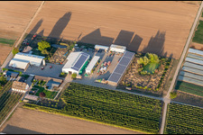 Jardin du fermier à Winden dans le département Rhénanie-Palatinat, Allemagne vue d'en haut