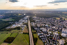 Vue aérienne de A66 vers Francfort à le quartier Bischofsheim in Maintal dans le département Hesse, Allemagne