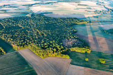 Vue aérienne de Forêts à Chaouilley dans le département Meurthe et Moselle, France