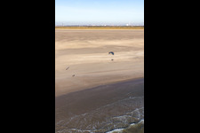Vue aérienne de Plage de Fanoe Bath à Fanø dans le département Syddanmark, Danemark