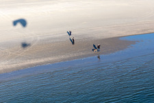 Plage de Fanoe Bath à Fanø dans le département Syddanmark, Danemark d'en haut