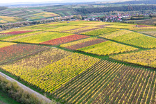Vue aérienne de Vignobles au bord du Main à le quartier Obereisenheim in Eisenheim dans le département Bavière, Allemagne