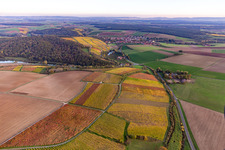Vue aérienne de Vignobles Obervolkach à le quartier Obervolkach in Volkach dans le département Bavière, Allemagne