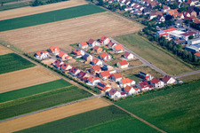 Vue aérienne de Nouvelle zone de développement d'Ahornweg à Steinweiler dans le département Rhénanie-Palatinat, Allemagne
