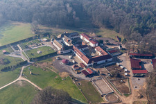 Vue aérienne de Écurie frite au monastère de Liebfrauenberg à Bad Bergzabern dans le département Rhénanie-Palatinat, Allemagne
