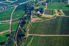 Ilbesheim bei Landau in der Pfalz dans le département Rhénanie-Palatinat, Allemagne du point de vue du drone