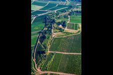 Ilbesheim bei Landau in der Pfalz dans le département Rhénanie-Palatinat, Allemagne d'un drone
