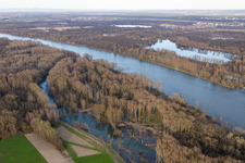 Vue aérienne de Inondations dans les plaines inondables du Rhin à Neupotz dans le département Rhénanie-Palatinat, Allemagne