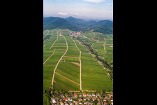 Vue aérienne de Birnbachtal vu de l'est à Leinsweiler dans le département Rhénanie-Palatinat, Allemagne