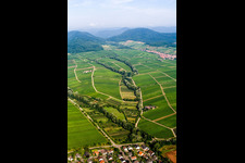 Vue aérienne de Paysage viticole des terroirs viticoles à le quartier Ilbesheim in Ilbesheim bei Landau in der Pfalz dans le département Rhénanie-Palatinat, Allemagne