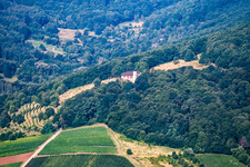 Vue aérienne de Slevogthof vu de l'est à Leinsweiler dans le département Rhénanie-Palatinat, Allemagne