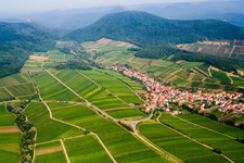 Vue aérienne de Paysage viticole des régions viticoles du Palatinat à Ranschbach dans le département Rhénanie-Palatinat, Allemagne