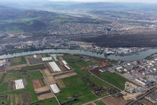 Vue aérienne de Novartis Pharma Schweizerhalle à Pratteln dans le département Paysage bâlois, Suisse