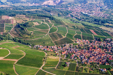 Vue aérienne de Vignoble Keschdebusch (Kastanienbusch) à Birkweiler dans le département Rhénanie-Palatinat, Allemagne