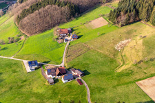 Haslach im Kinzigtal dans le département Bade-Wurtemberg, Allemagne depuis l'avion